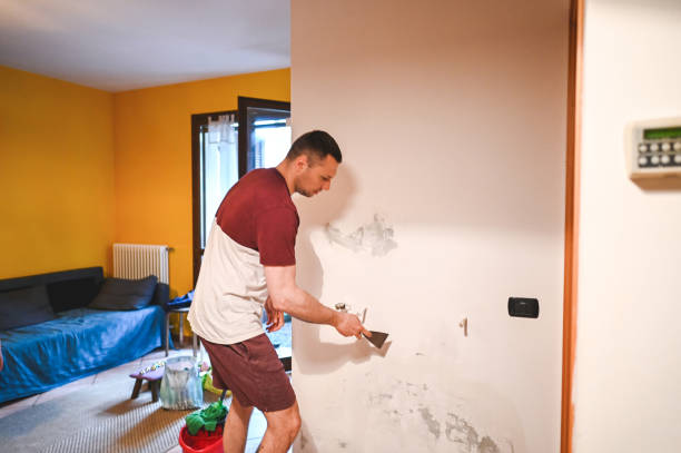 Best Mold Damage Repair  in Shady Shores, TX